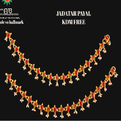 agra fancy jul payal 1